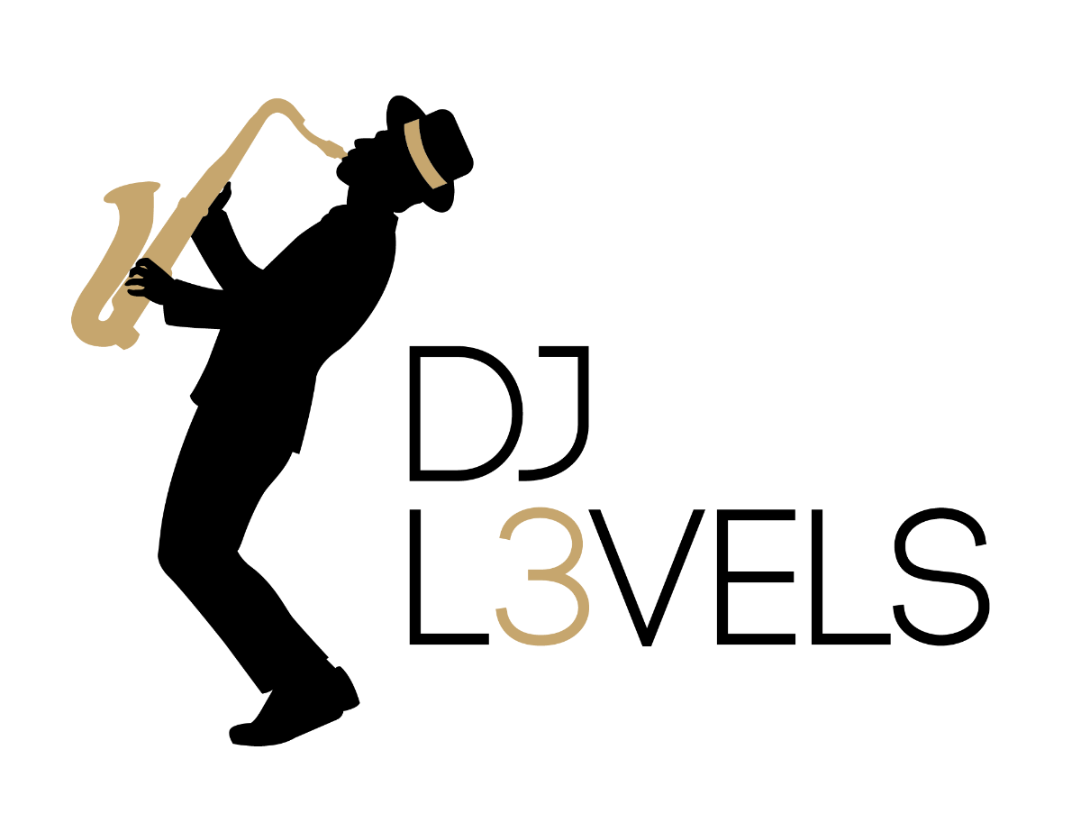 Logo DJ L3VELS